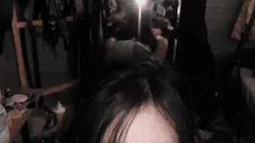 Snapinsta.app 339138164 553547726767348 7224154512776130636 n 1080