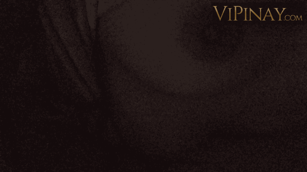 6202003204753965046 121